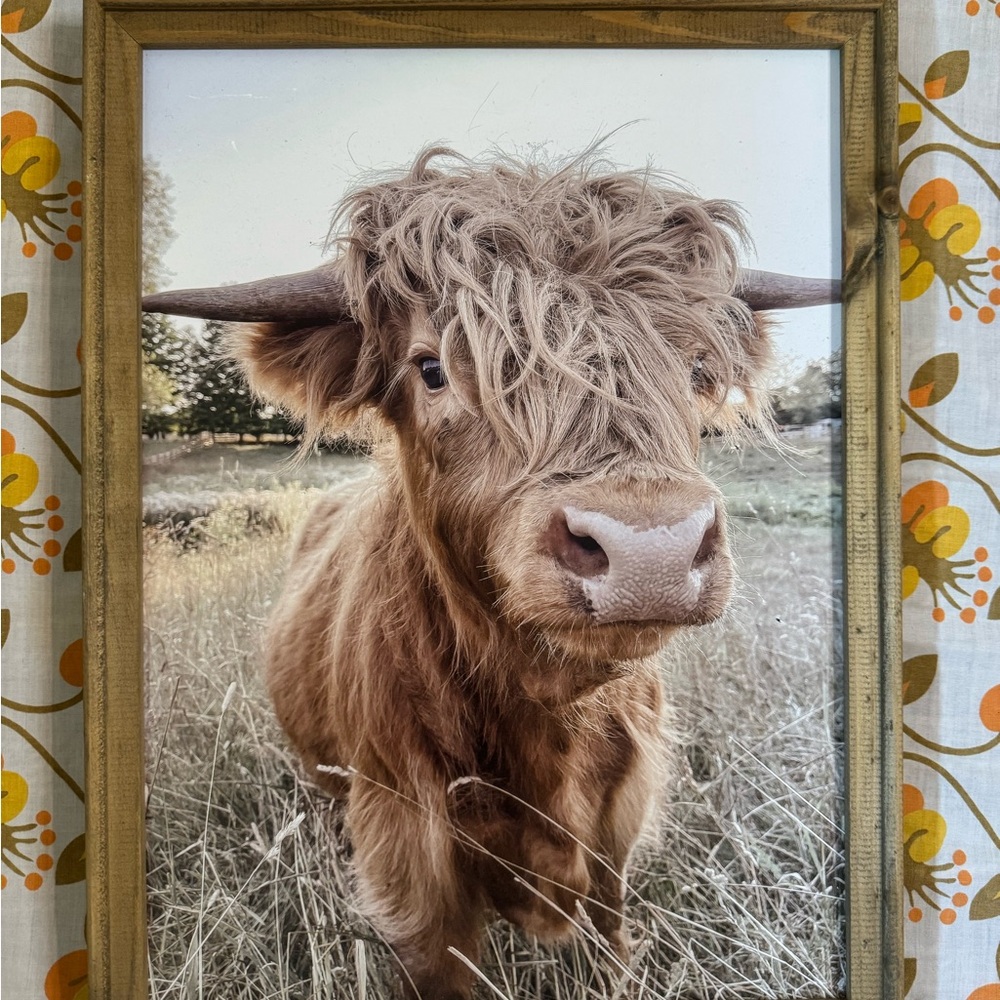 Highland Cow Framed Wall Art